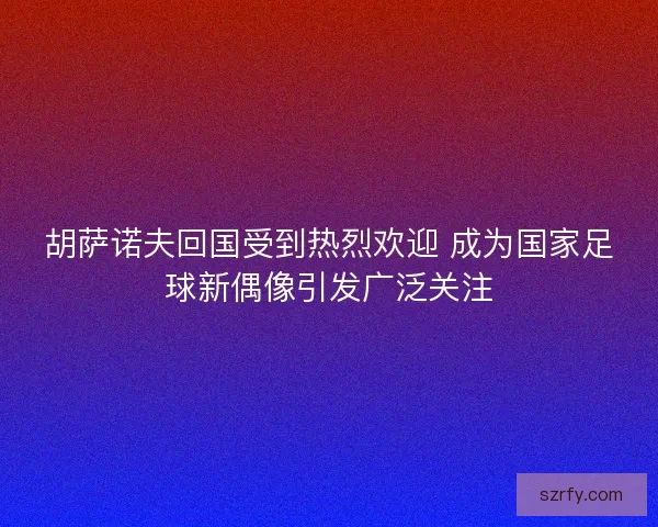 胡萨诺夫回国受到热烈欢迎 成为国家足球新偶像引发广泛关注